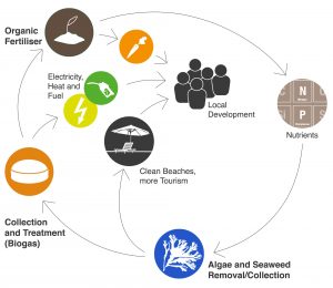 The image visualises the cycle described in the text.